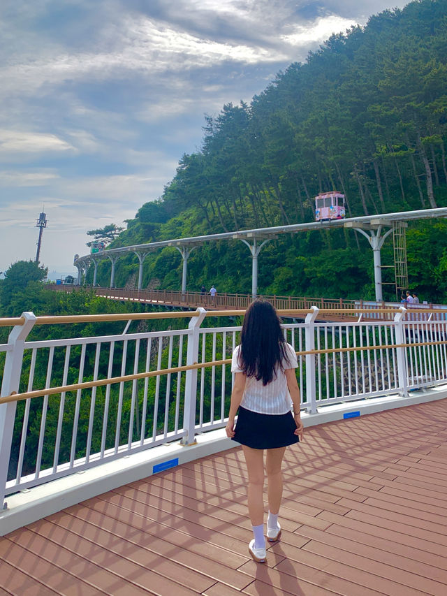 부산 청사포 인생샷 포토스팟 정리해봄📸📷