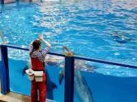 🐧 A Whimsical Day at Noboribetsu Marine Park Nixe