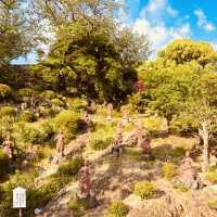 Daishōji Temple: A Riverside Retreat in Inuyama’s Summer Heat