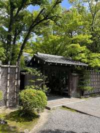 【福岡】住宅街の片隅に佇む立地な日本庭園🌱