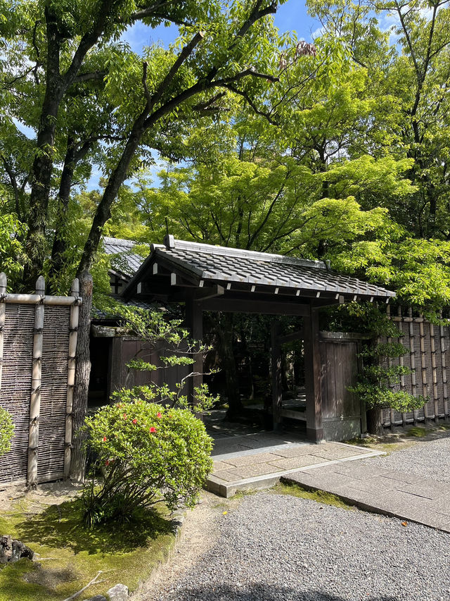 【福岡】住宅街の片隅に佇む立地な日本庭園🌱