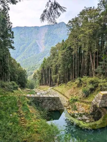 阿里山風景區的清晨魔力
