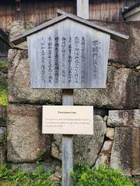 Echoes of the Past at Nagoya Castle