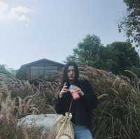 แวะคาเฟ่สไตล์บ้านหวานๆ หากใครมาเที่ยวที่ปราจีน 
