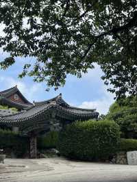 부산 민락동 숨은 한옥 뷰 포인트, 옥련선원 산책 후기