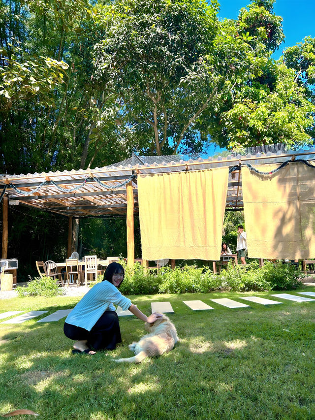 ☕🌿 The Humble Jack Cafe & Bistro
