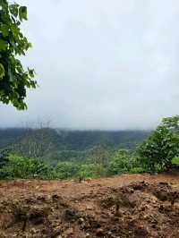 First Valley Coffee Estate | Chiangmai 