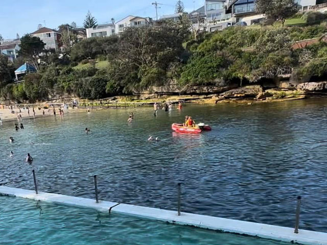 Clovelly Beach - 海泳、戲水 & 浮潛天堂