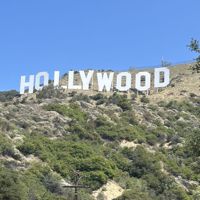 🇺🇸LA - 空港発着・1日でLA大満足できます！プランのご紹介☀️