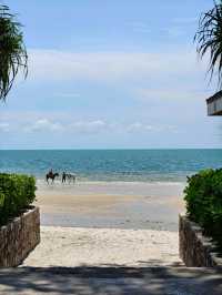 The standard Huahin 