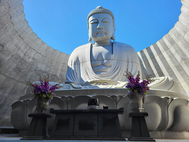 北海道真駒內靈園：薰衣草環繞的巨佛之境