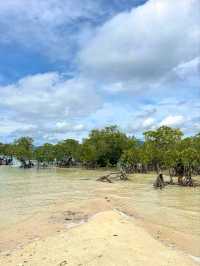 Island Calm and Mangrove Charm: Alibijaban, Quezon