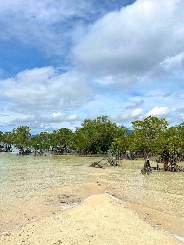 Island Calm and Mangrove Charm: Alibijaban, Quezon