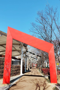 A Hidden Gem in Daegu — Calm Days at Kim Gwangseok Street