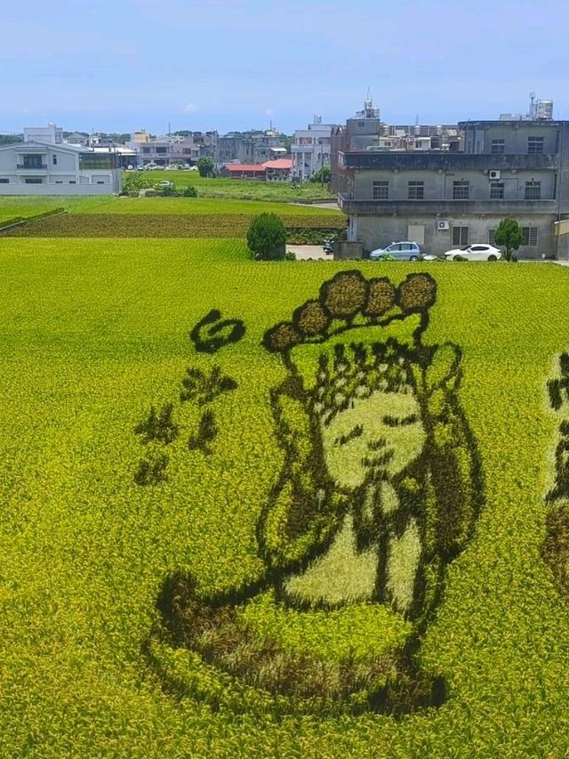 苗栗苑裡小熊博物館 附近景點一日遊