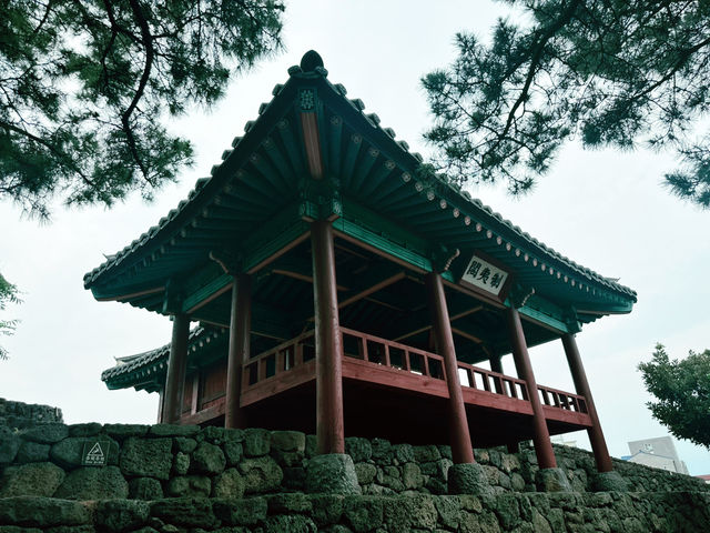 제이각을 정면으로 본 날 ❤️