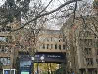 Campus Walk: Exploring the Beauty of the University of Melbourne! 🇦🇺📚