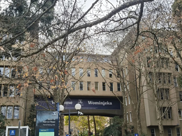 Campus Walk: Exploring the Beauty of the University of Melbourne! 🇦🇺📚