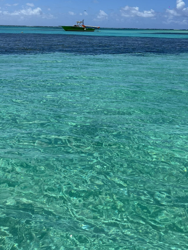 【サイパン】マニャガハ島の魅力🏝️✨✨