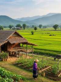 ถ้าคุณคิดถึง น่าน สถานที่ใดที่คุณประทับใจที่สุด