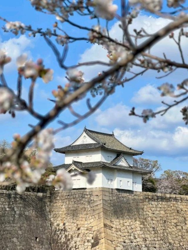🏯🇯🇵日本大阪必去景點（一）大阪城公園