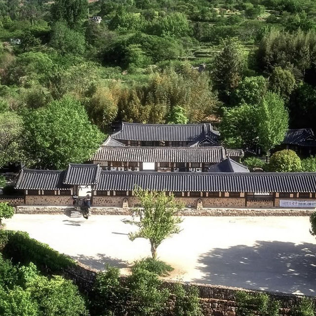 Hadong: A Slow Traveler’s Paradise – Tea Fields, Timeless Houses & Mountain Spirits"** 🍵🏯 