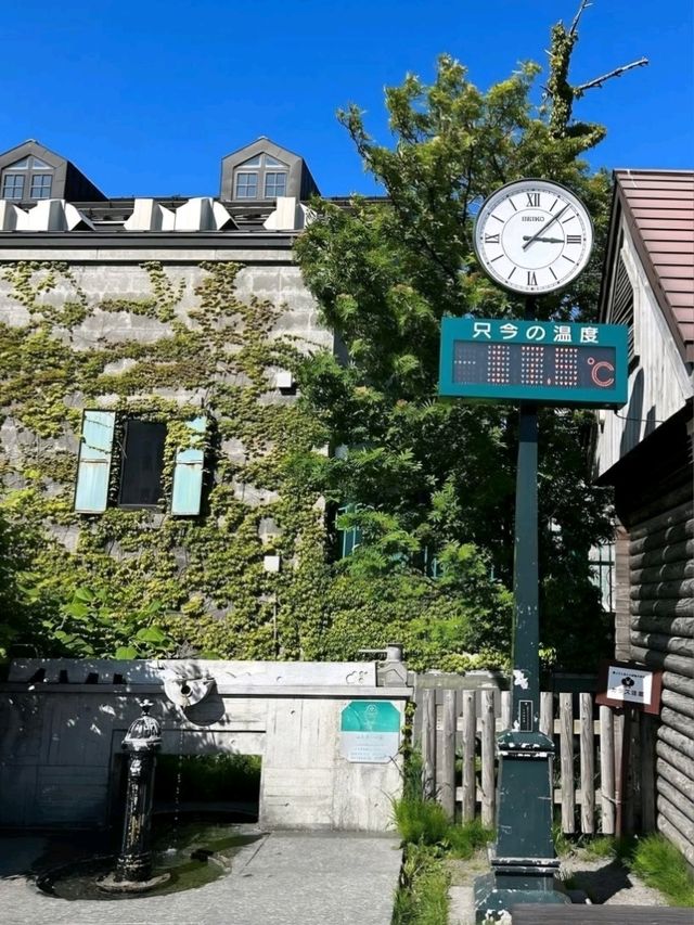 Otaru Canal: A Stroll Through Time