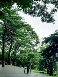 물구름 둥둥 ☁ 빗방울 맺힌 여름의 봉은사