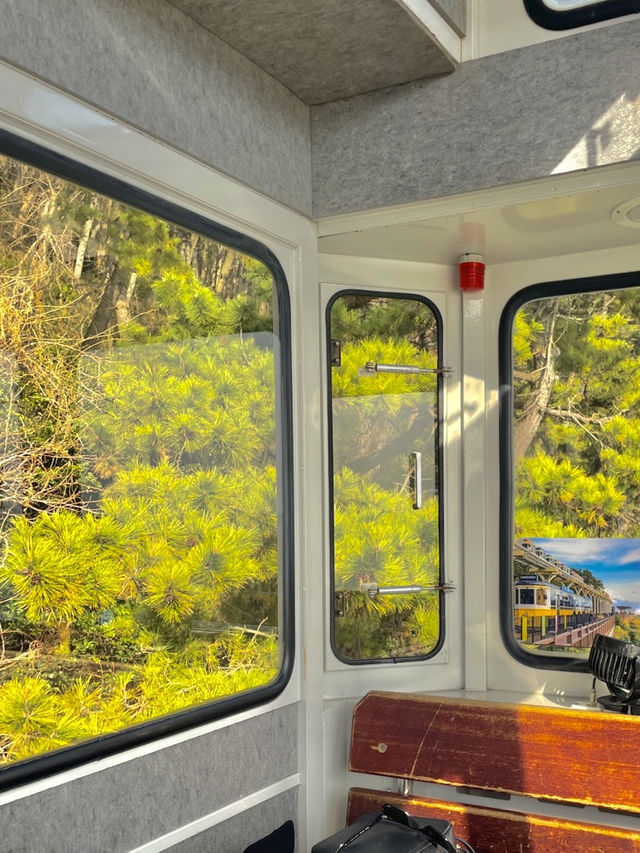 부산 해운대 블루라인파크 🚃🌊 바다 옆 기찻길 산책