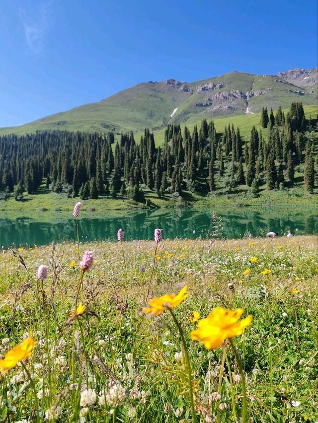Emerald Fairy Lake: A Jewel Nestled in the Wilderness