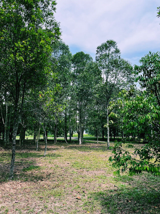 A Lakeside Stroll to Remember at Paya Indah Wetlands