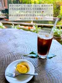 🫧都会の喧騒を忘れたい人必見！秘密の美術館&カフェ in あきる野市🫧