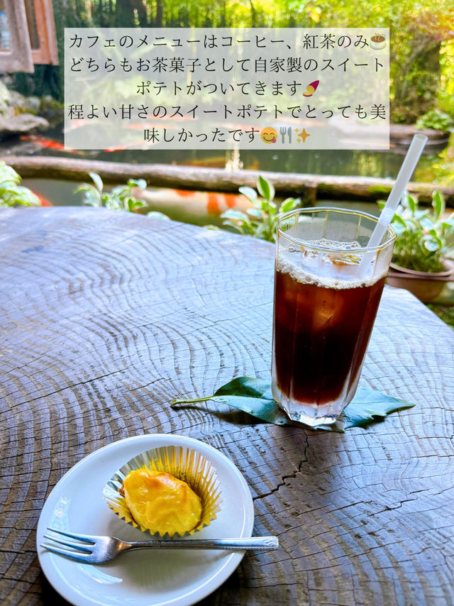 🫧都会の喧騒を忘れたい人必見！秘密の美術館&カフェ in あきる野市🫧