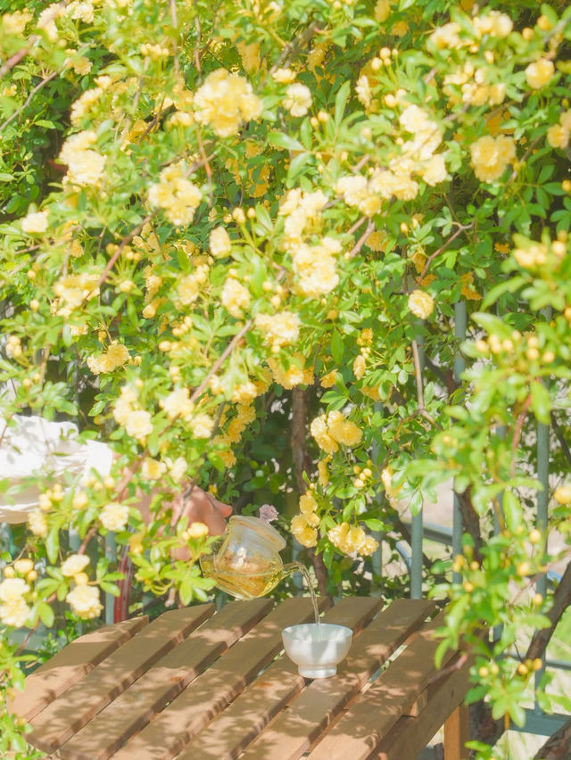 피드로도 기록해보는 창원의 노란빛 순간들💛