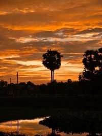 Siem Reap's SunSet 
