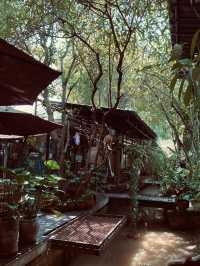 Hidden Tree Garden 