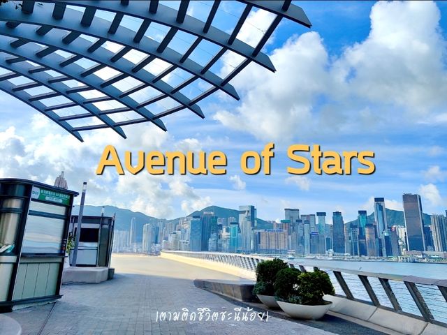 🌟Avenue of Stars