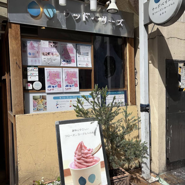 【東京/吉祥寺🇯🇵】フローズンヨーグルト専門店🥛ウッドベリーズ