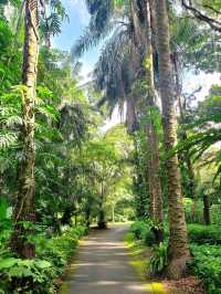 La Mesa Ecopark: A Green Retreat in Metro Manila
