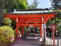 犬山 | 三光稻荷神社，以求姻緣聞名的神社