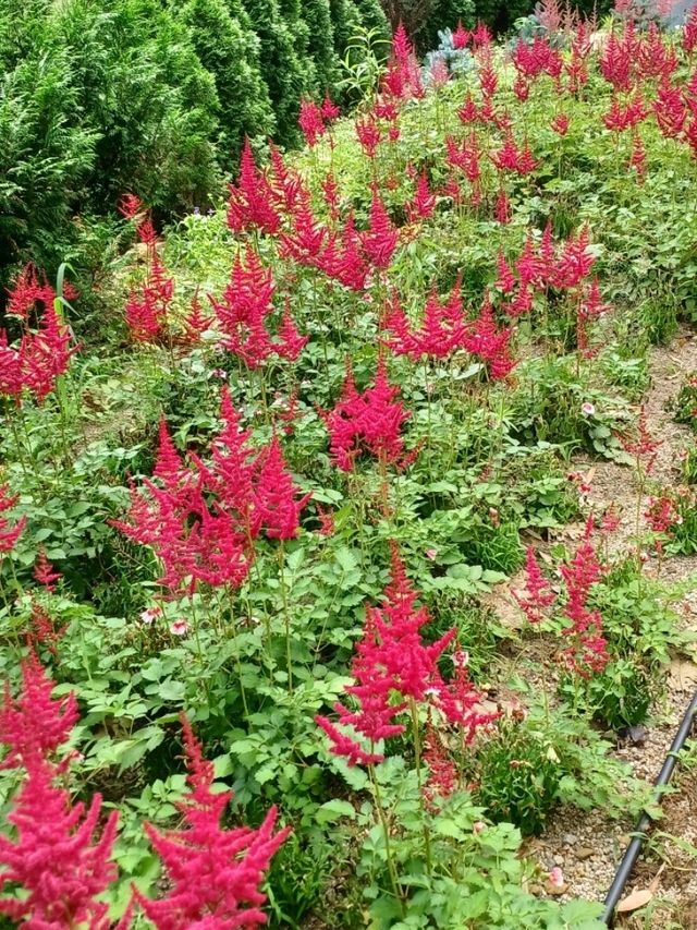 진주 도심 속 산림 힐링, 월아산