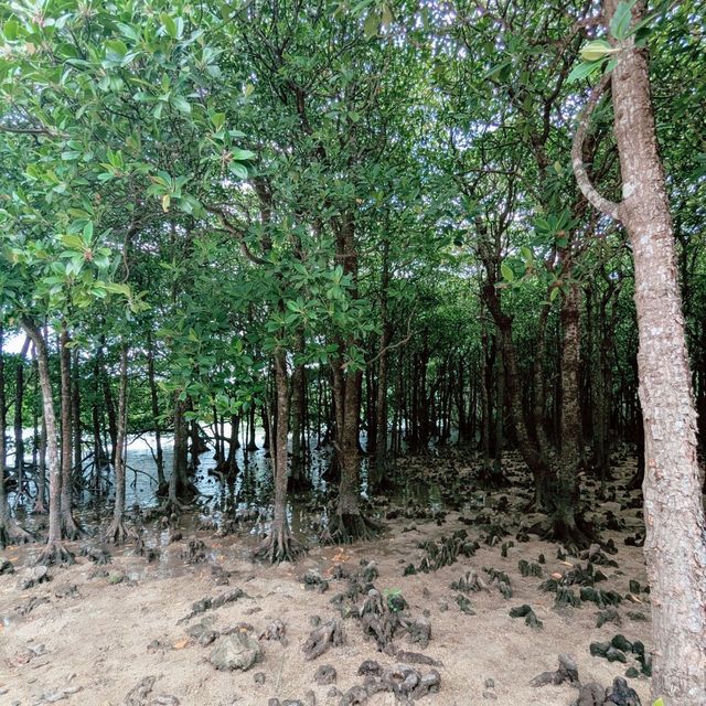 ☔️雨の日の沖縄旅行🇯🇵