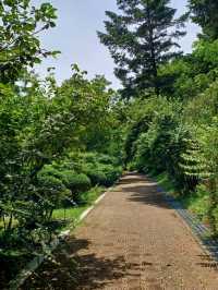 숲길 위의 산책, 진주 수목원