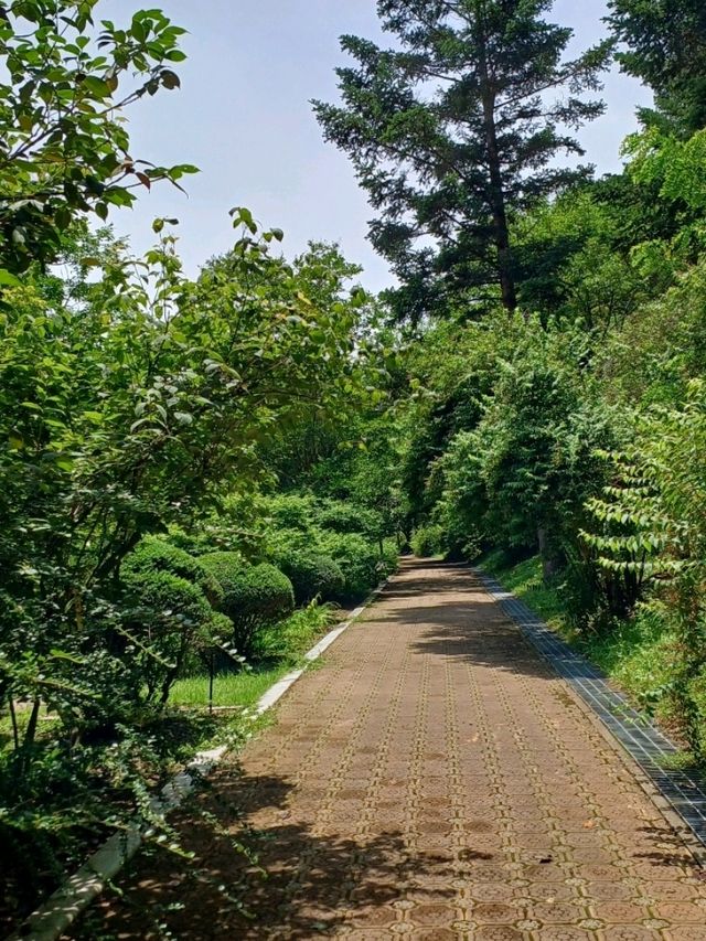 숲길 위의 산책, 진주 수목원