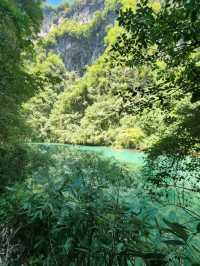“Zhangjiajie Grand Canyon: Crystal Bridge over a Green Paradise”