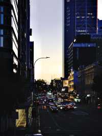 Auckland 1 Days Travel Guide 
