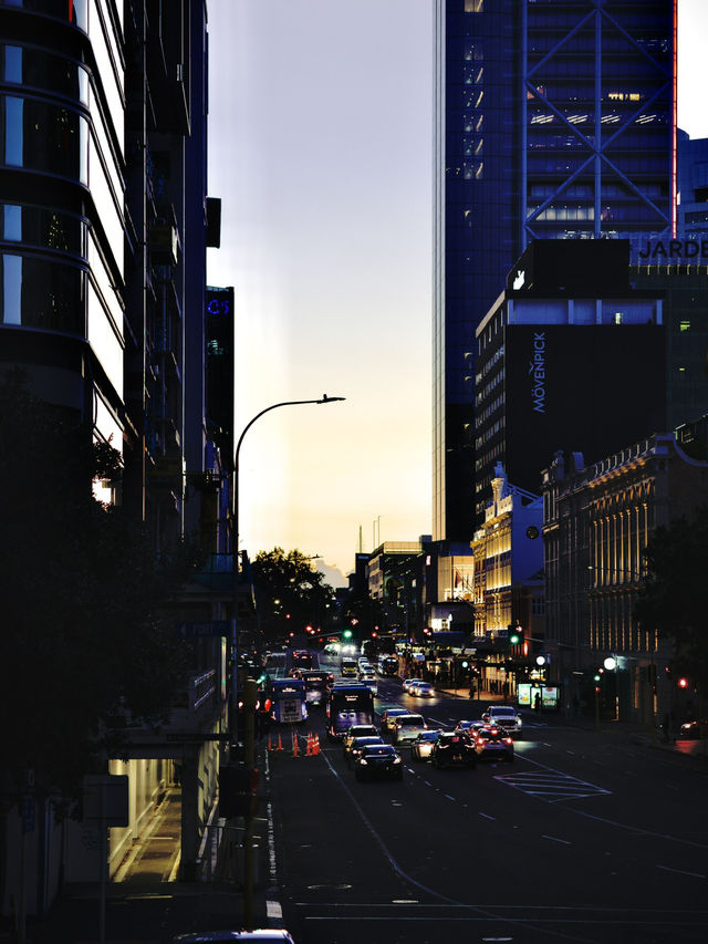 Auckland 1 Days Travel Guide 