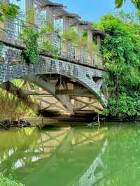 🌿Oxygen Day｜Step into a Miyazaki Summer in Guangzhou