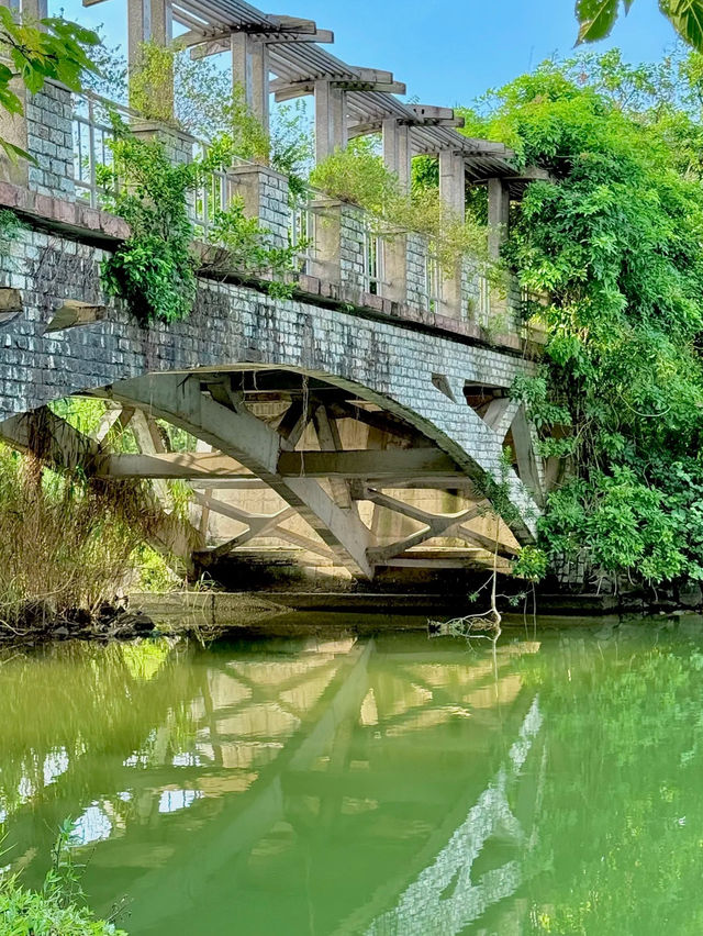 🌿Oxygen Day｜Step into a Miyazaki Summer in Guangzhou