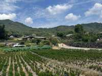 ์๊ฐ์ด ๋ฉ์ถ ๋ฏํ ํ์ฅ ๋ง์, ์ฑ์ฃผ ํ๊ฐ๋ง์